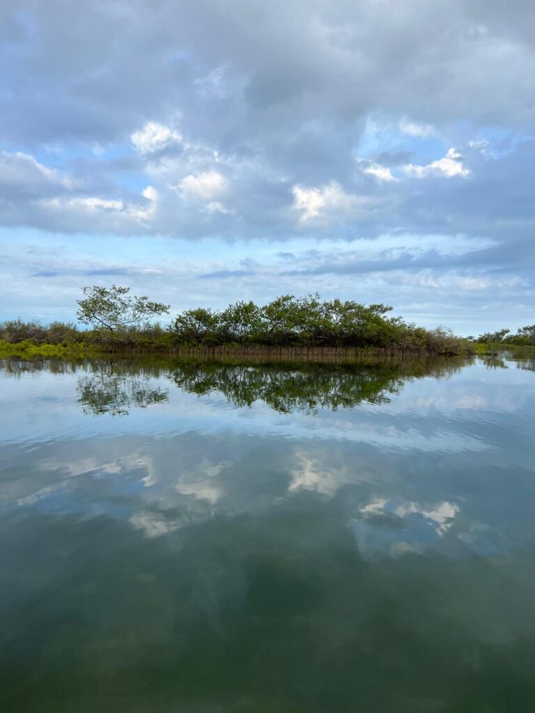 PHOTO-2024-06-27-15-51-30 24