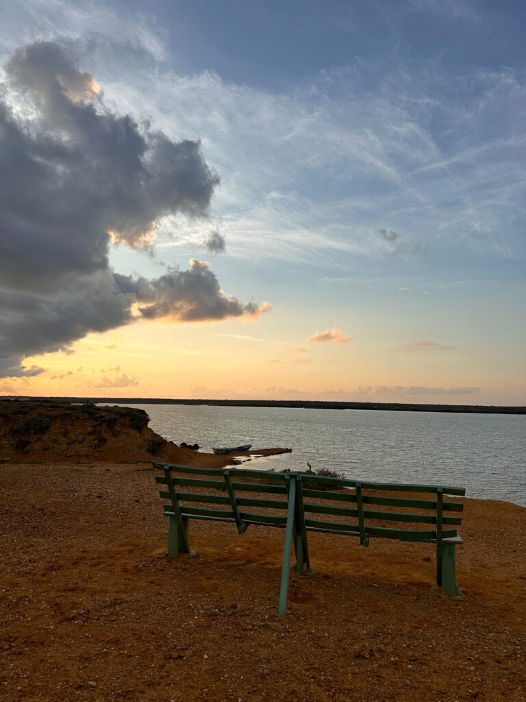 PHOTO-2024-04-07-07-44-05 3