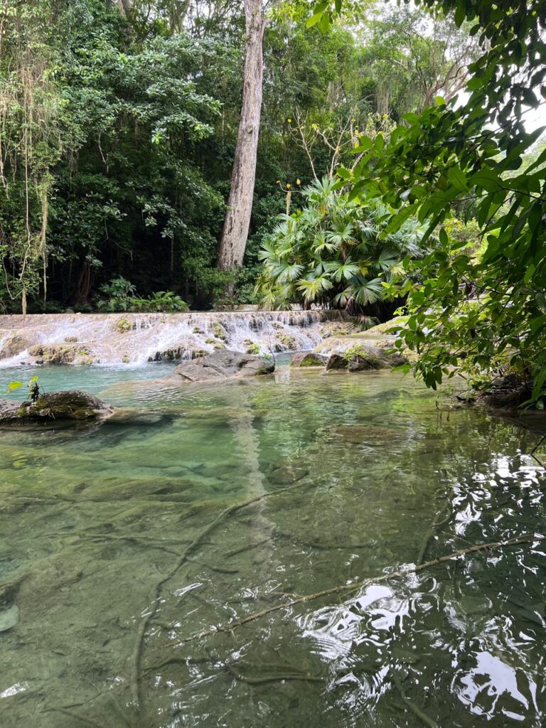 PHOTO-2025-12-11-11-07-15