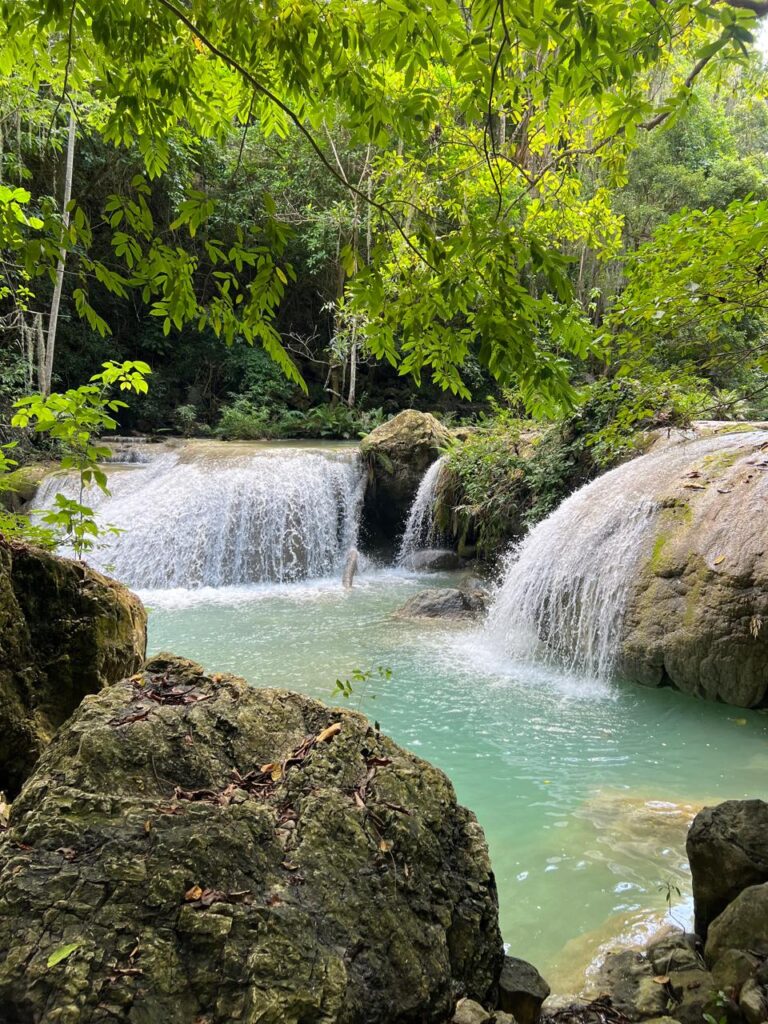 PHOTO-2025-12-11-11-07-17